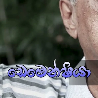Download Dementia - Nihal Priyantha | Prasad Kumarathunga Mp3 Song for free. Latest Sinhala music available on SriTune.